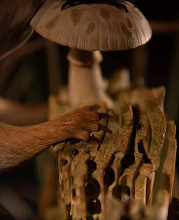 The nude, Akt, Cornel, Schneider, Boxwood, Buchsbaum,  acrylglass, ivory jpeg, jpg, scuplture, Schnitzerei, Carving, okimono