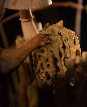 The nude, Akt, Cornel, Schneider, Boxwood, Buchsbaum,  acrylglass, ivory jpeg, jpg, scuplture, Schnitzerei, Carving, okimono