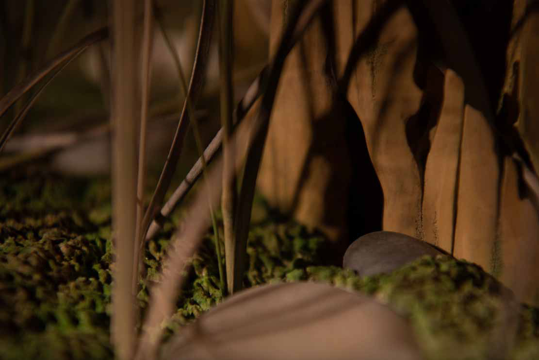 Old reed. altes Schilf, Snow, Ice, , Cornel, Schneider, Boxwood, Buchsbaum, jpeg, jpg, scuplture, Schnitzerei, Carving, okimono