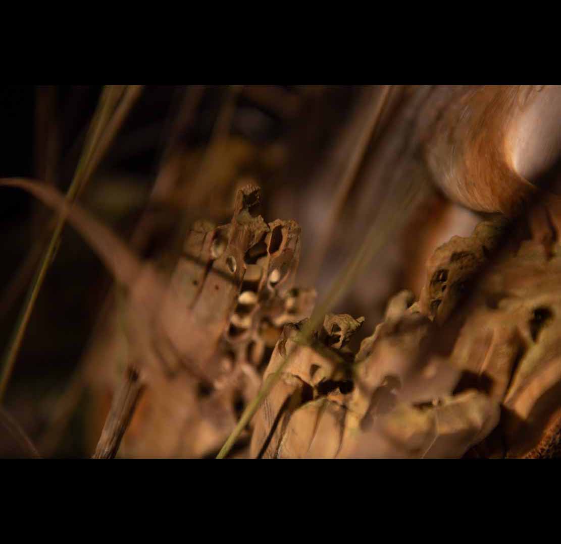 WHALE HUNT,Walfang, DIORAMA, Cornel, Schneider, Boxwood, limewood, jpeg, jpg, scuplture, Schnitzerei, Carving, Deutsches Technikmuseum Berlin