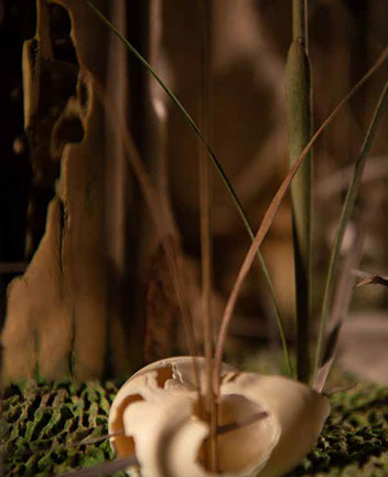 The nude, Akt, Cornel, Schneider, Boxwood, Buchsbaum,  acrylglass, ivory jpeg, jpg, scuplture, Schnitzerei, Carving, okimono