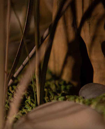 The nude, Akt, Cornel, Schneider, Boxwood, Buchsbaum,  acrylglass, ivory jpeg, jpg, scuplture, Schnitzerei, Carving, okimono