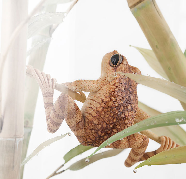 viper around branch, Cornel, Schneider, Boxwood, Buchsbaum,  jpeg, jpg, scuplture, Schnitzerei, Carving, okimono