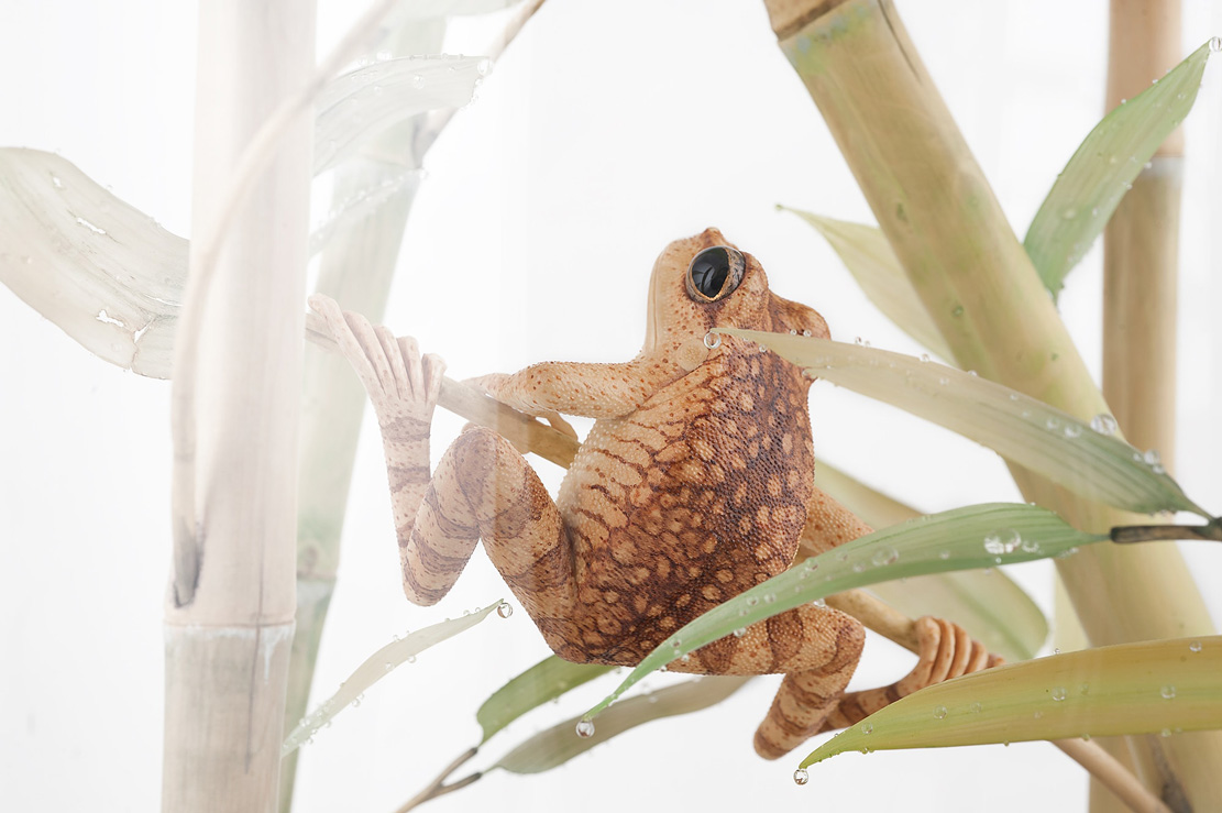 Eisvogel, Kingfisher, Watersplash, Hunting, Fish, Cornel, Schneider, Boxwood, Buchsbaum, jpeg, jpg, scuplture, Schnitzerei, Carving, okimono