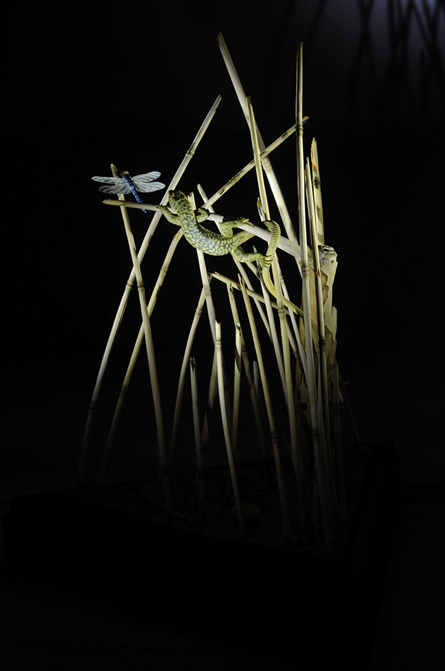 Catch me if you can,Libelle, Dragonfly, Eidechse, Lizard, Boxwood, Buchsbaum,  jpeg, jpg, scuplture, Schnitzerei, Carving, okimono