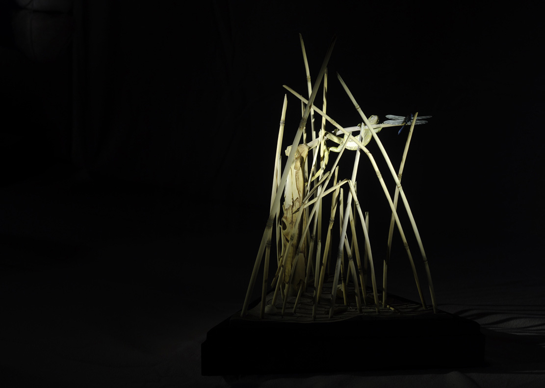 Catch me if you can,Libelle, Dragonfly, Eidechse, Lizard, Boxwood, Buchsbaum,  jpeg, jpg, scuplture, Schnitzerei, Carving, okimono