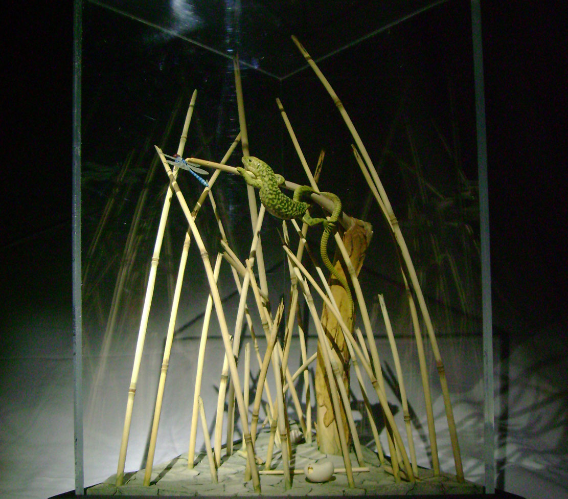 Catch me if you can,Libelle, Dragonfly, Eidechse, Lizard, Boxwood, Buchsbaum,  jpeg, jpg, scuplture, Schnitzerei, Carving, okimono