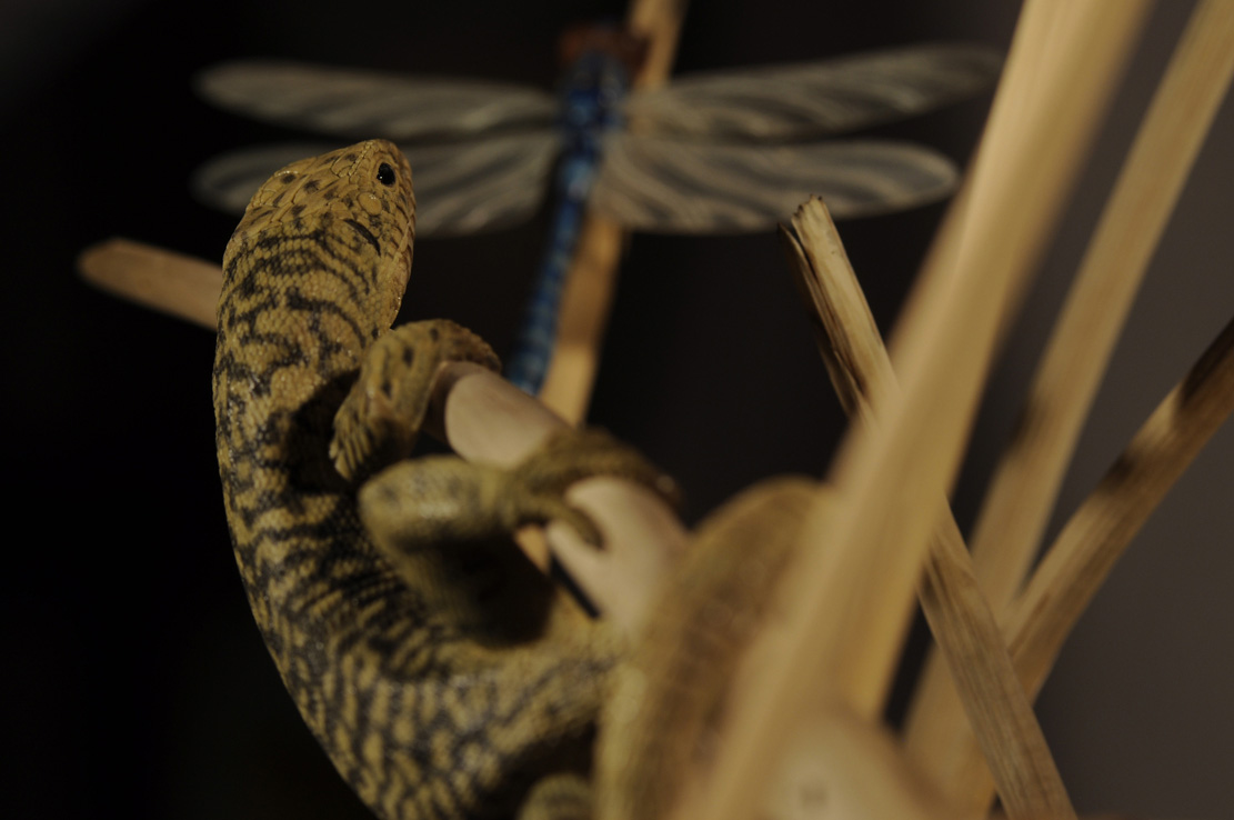 Catch me if you can,Libelle, Dragonfly, Eidechse, Lizard, Boxwood, Buchsbaum,  jpeg, jpg, scuplture, Schnitzerei, Carving, okimono