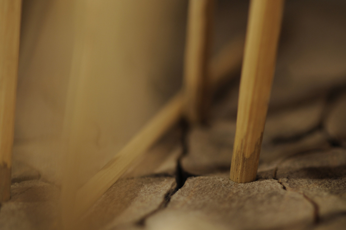 Catch me if you can,Libelle, Dragonfly, Eidechse, Lizard, Boxwood, Buchsbaum,  jpeg, jpg, scuplture, Schnitzerei, Carving, okimono