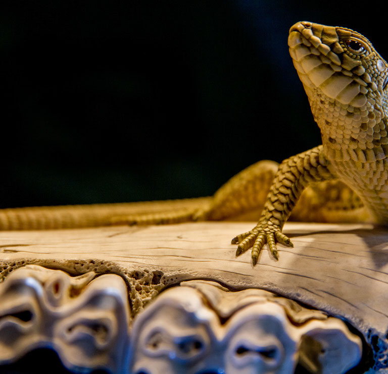 Eisvogel, Kingfisher, Watersplash, Hunting, Fish, Cornel, Schneider, Boxwood, Buchsbaum, jpeg, jpg, scuplture, Schnitzerei, Carving, okimono