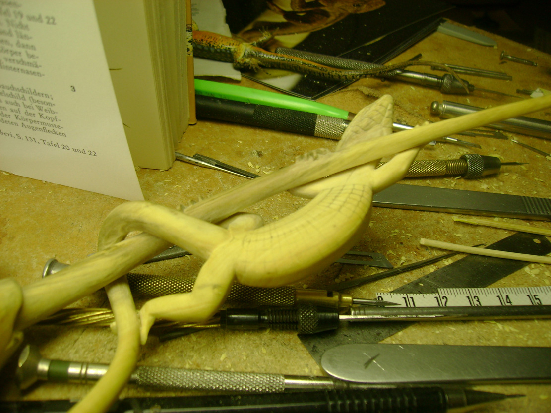 Catch me if you can, Eidechse, Lizard, Boxwood, Buchsbaum, tools, work in process,  jpeg, jpg, scuplture, Schnitzerei, Carving, okimono