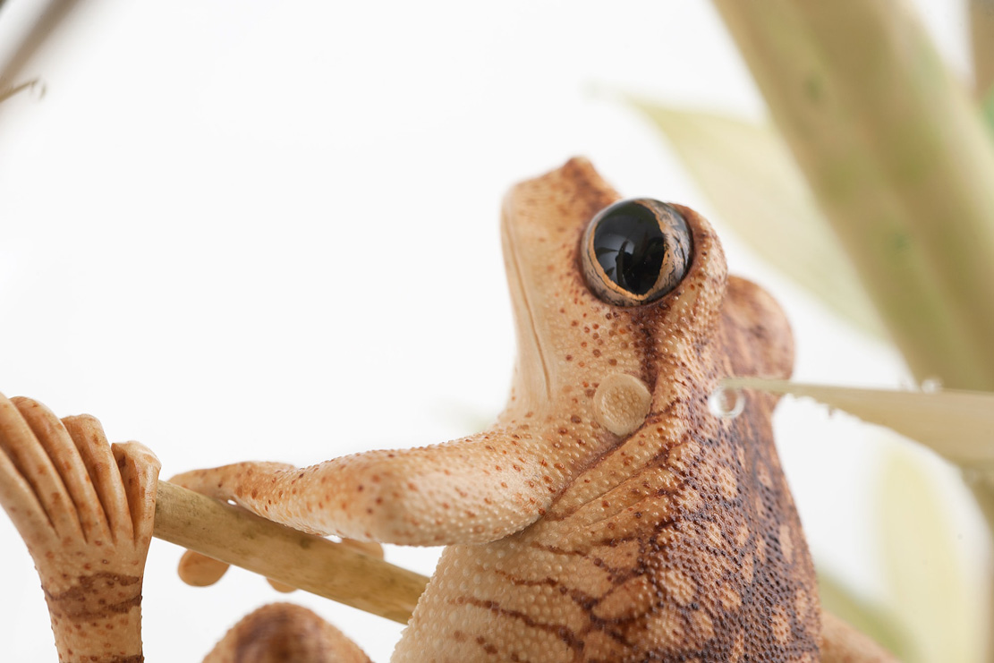 Eisvogel, Kingfisher, Watersplash, Hunting, Fish, Cornel, Schneider, Boxwood, Buchsbaum, jpeg, jpg, scuplture, Schnitzerei, Carving, okimono