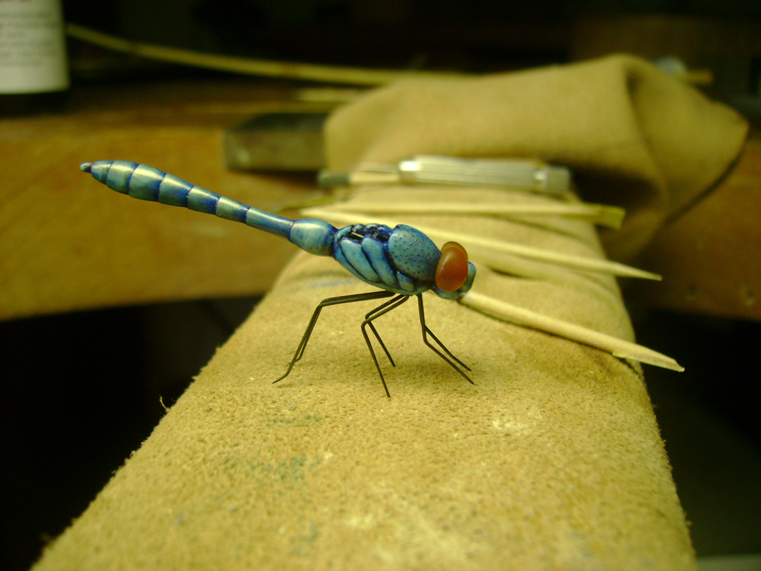 Catch me if you can, Libelle, Dragonfly, Ivory, Buffalo Horn, tools, work in process,  jpeg, jpg, scuplture, Schnitzerei, Carving, okimono