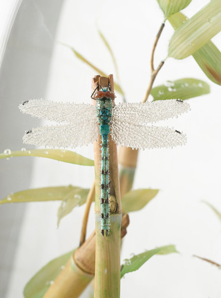 Snake, Schlange, Toad, Kröte, Cornel, Schneider, Boxwood, Buchsbaum, jpeg, jpg, scuplture, Schnitzerei, Carving, okimono