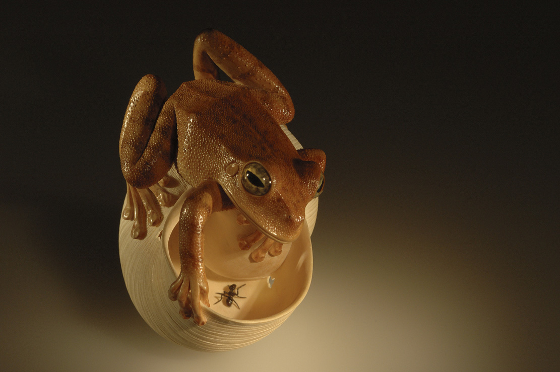 frog on snailhouse, Frosch, Schneckenhaus, Acrylglas,Cornel, Schneider, Boxwood, Buchsbaum,  jpeg, jpg, scuplture, Schnitzerei, Carving, netsuke