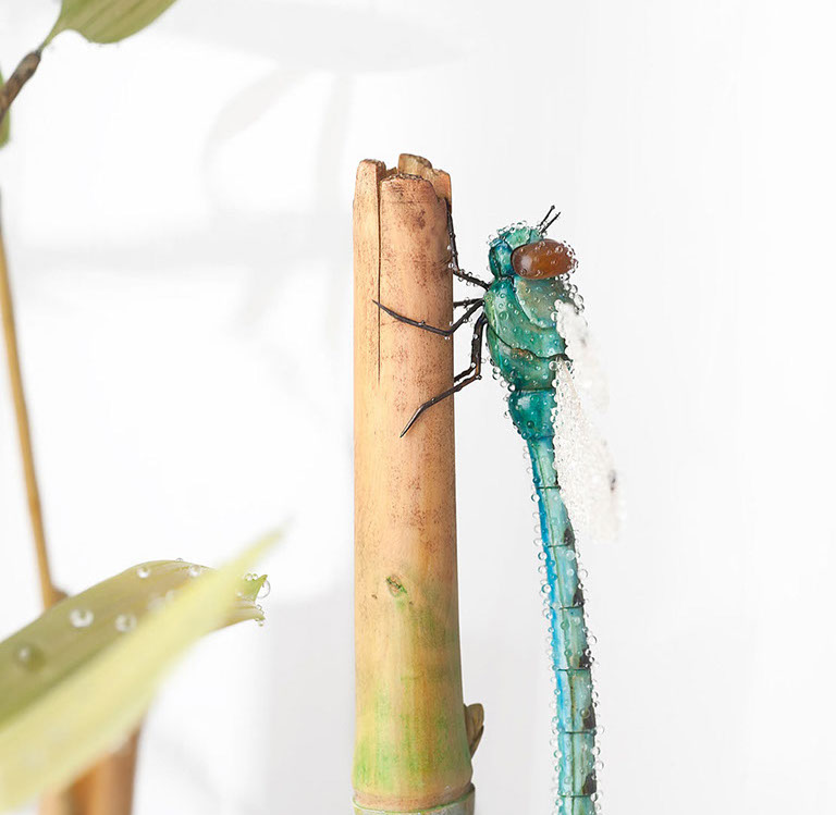 Eisvogel, Kingfisher, Watersplash, Hunting, Fish, Cornel, Schneider, Boxwood, Buchsbaum, jpeg, jpg, scuplture, Schnitzerei, Carving, okimono