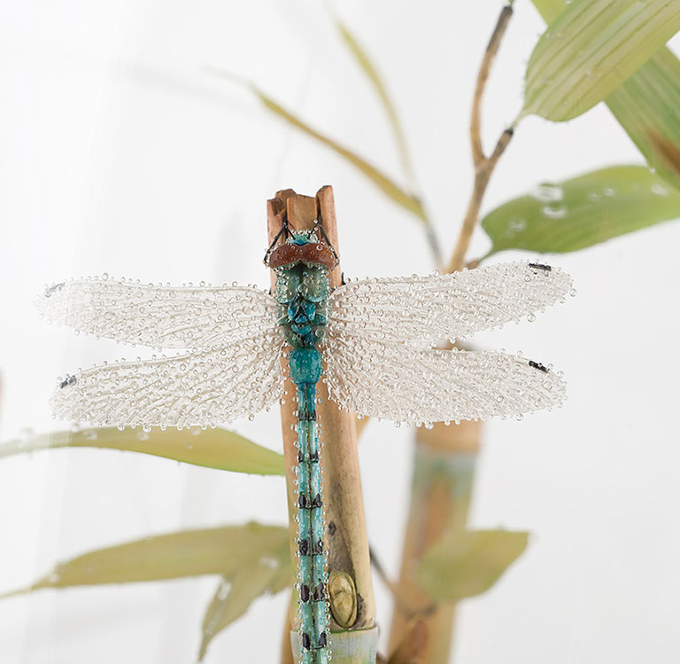 Eisvogel, Kingfisher, Watersplash, Hunting, Fish, Cornel, Schneider, Boxwood, Buchsbaum, jpeg, jpg, scuplture, Schnitzerei, Carving, okimono