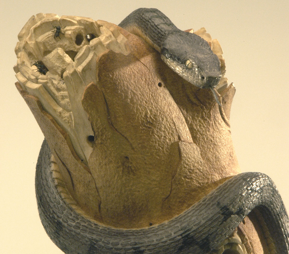 viper around branch, Cornel, Schneider, Boxwood, Buchsbaum,  jpeg, jpg, scuplture, Schnitzerei, Carving, okimono