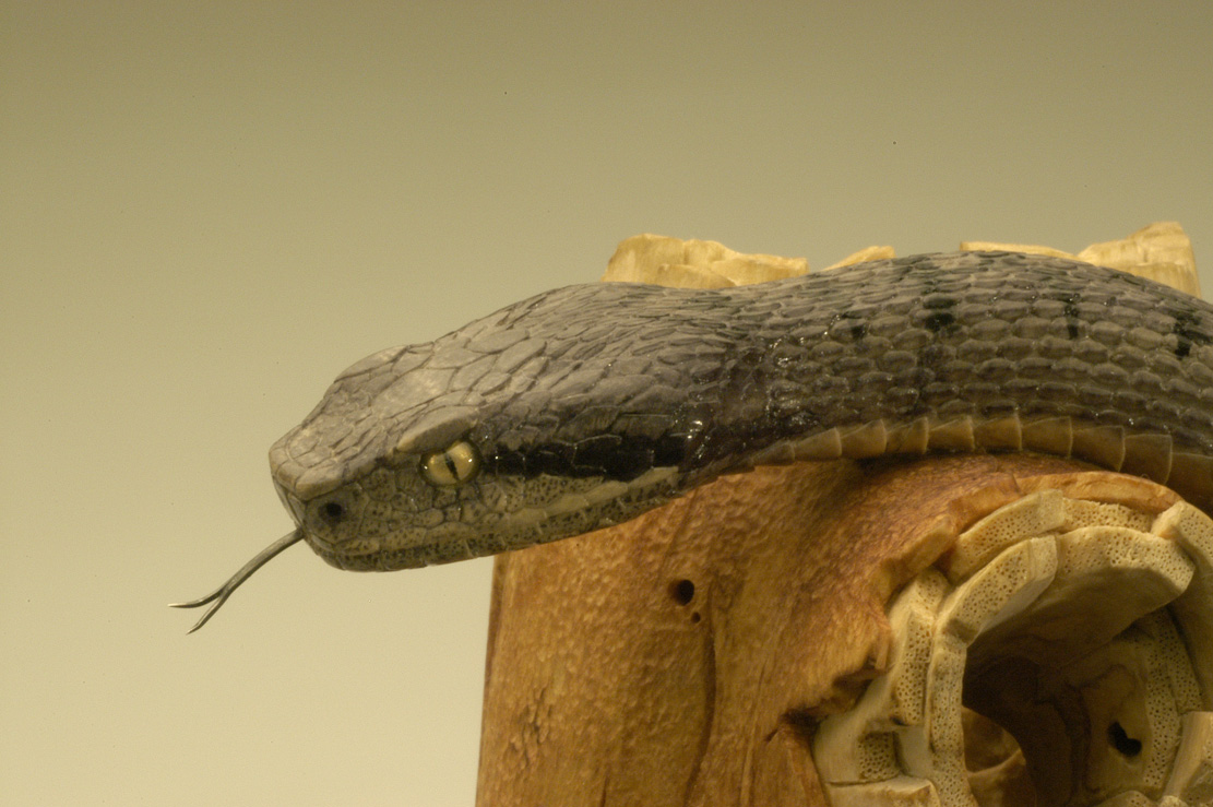 viper around branch, Cornel, Schneider, Boxwood, Buchsbaum,  jpeg, jpg, scuplture, Schnitzerei, Carving, okimono