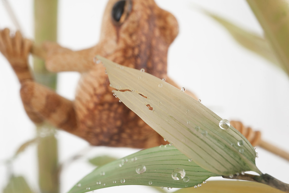 Eisvogel, Kingfisher, Watersplash, Hunting, Fish, Cornel, Schneider, Boxwood, Buchsbaum, jpeg, jpg, scuplture, Schnitzerei, Carving, okimono