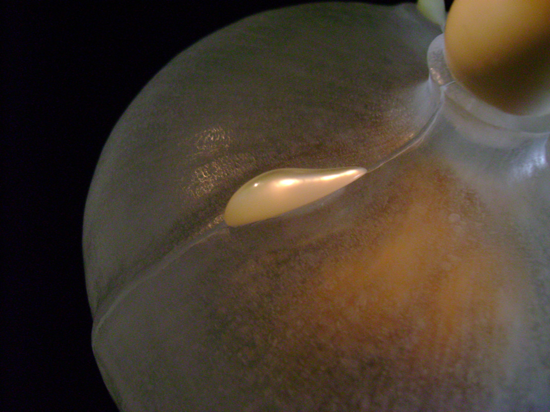 The nude, Akt, Cornel, Schneider, Boxwood, Buchsbaum,  acrylglass, ivory jpeg, jpg, scuplture, Schnitzerei, Carving, okimono