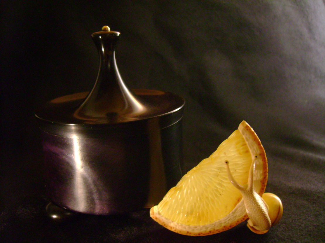 orangesnail, Cornel, Schneider, Boxwood, Buchsbaum,  amber, bernstein, ebony, jpeg, jpg, scuplture, Schnitzerei, Carving, netsuke