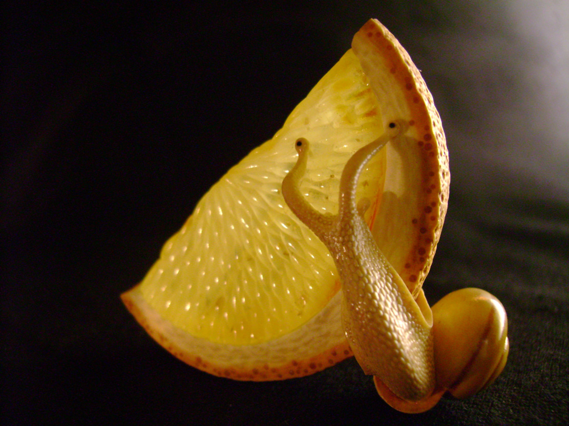 orangesnail, Cornel, Schneider, Boxwood, Buchsbaum,  amber, bernstein, ebony, jpeg, jpg, scuplture, Schnitzerei, Carving, netsuke