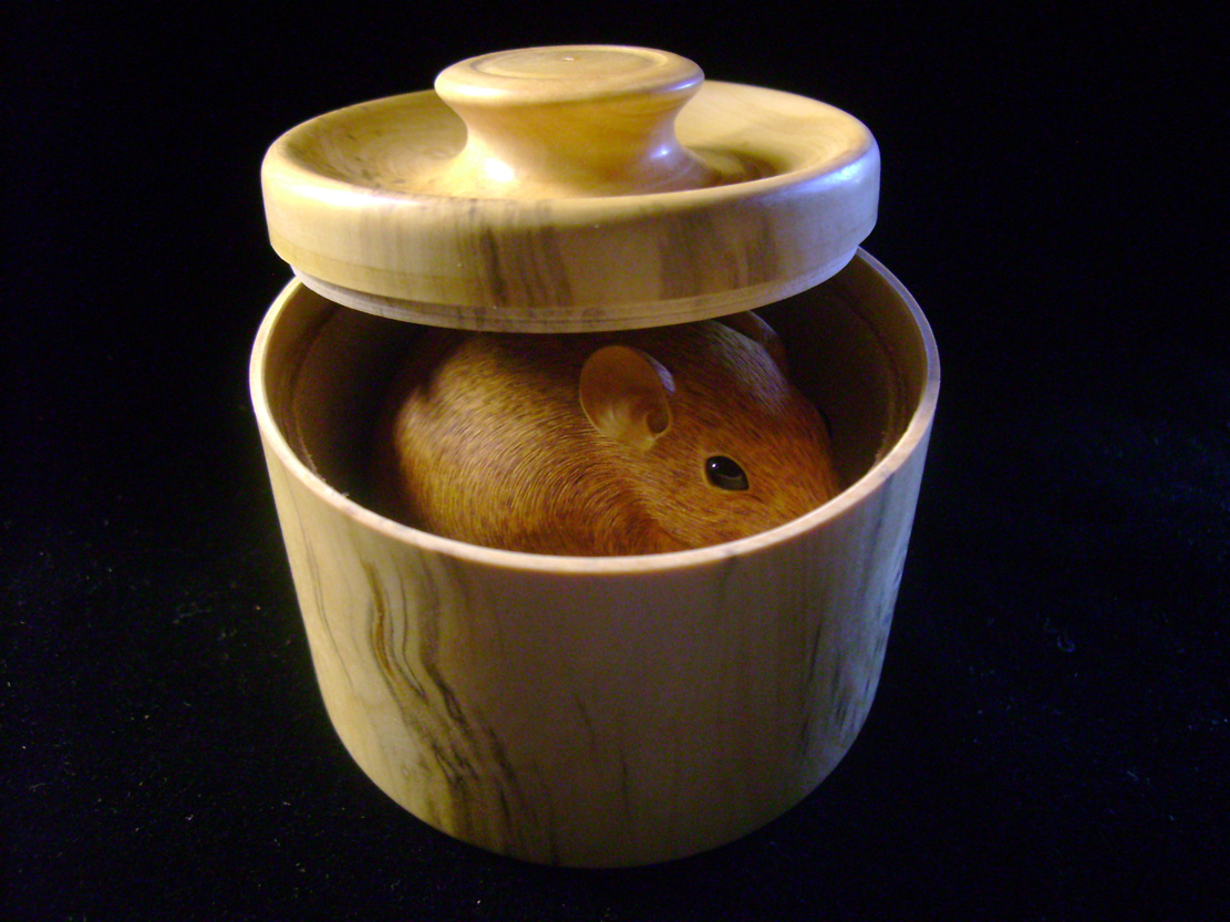 HOMMAGE À TOMOKAZU, rat, ratte, box, Cornel, Schneider, Boxwood, Buchsbaum,  jpeg, jpg, scuplture, Schnitzerei, Carving, netsuke