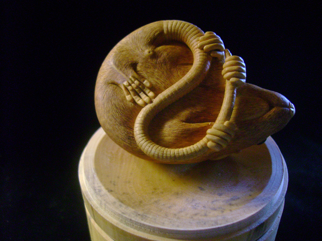 HOMMAGE À TOMOKAZU, rat, ratte, box, Cornel, Schneider, Boxwood, Buchsbaum,  jpeg, jpg, scuplture, Schnitzerei, Carving, netsuke