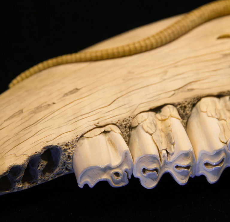 Eisvogel, Kingfisher, Watersplash, Hunting, Fish, Cornel, Schneider, Boxwood, Buchsbaum, jpeg, jpg, scuplture, Schnitzerei, Carving, okimono