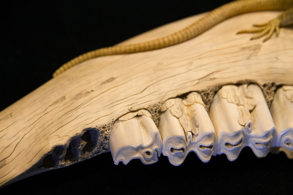 Snake, Schlange, Toad, Kröte, Cornel, Schneider, Boxwood, Buchsbaum, jpeg, jpg, scuplture, Schnitzerei, Carving, okimono