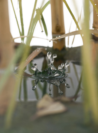 Snake, Schlange, Toad, Kröte, Cornel, Schneider, Boxwood, Buchsbaum, jpeg, jpg, scuplture, Schnitzerei, Carving, okimono