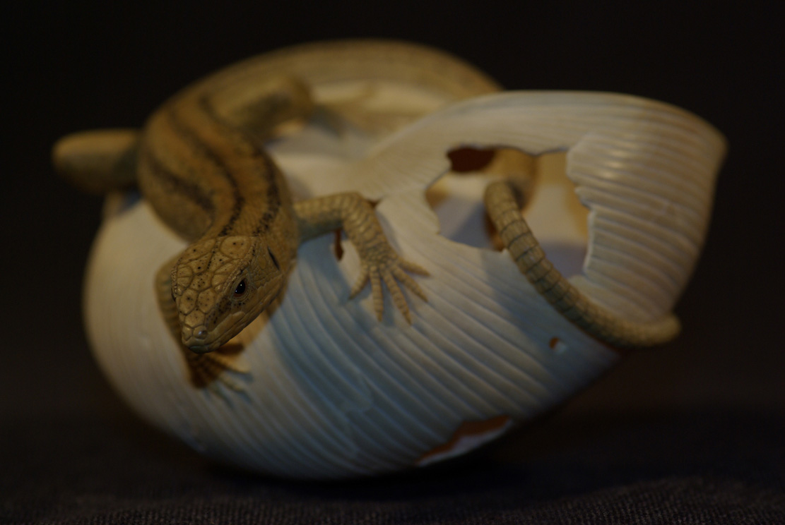 LIZARD ON SNAILHOUSE, Eidechse, Schneckenhaus, Cornel, Schneider, Boxwood, Buchsbaum,  jpeg, jpg, scuplture, Schnitzerei, Carving, okimono