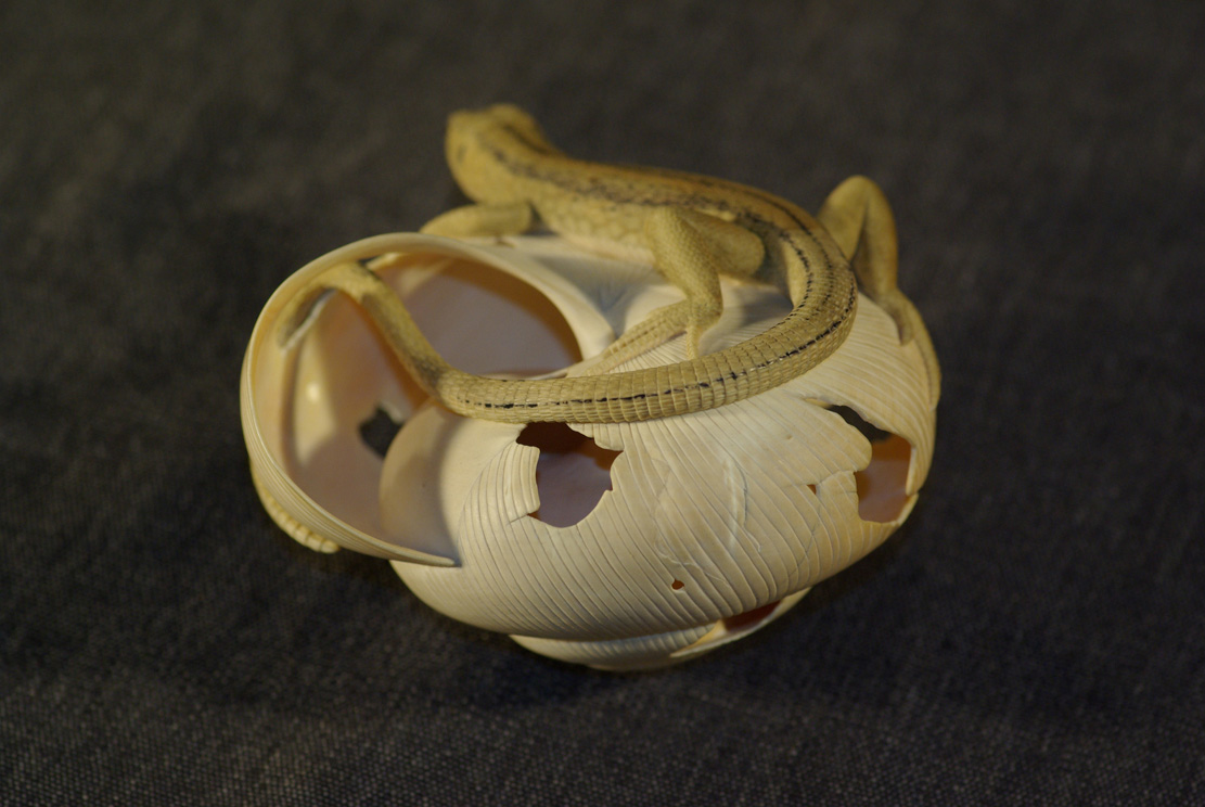 LIZARD ON SNAILHOUSE, Eidechse, Schneckenhaus, Cornel, Schneider, Boxwood, Buchsbaum,  jpeg, jpg, scuplture, Schnitzerei, Carving, okimono