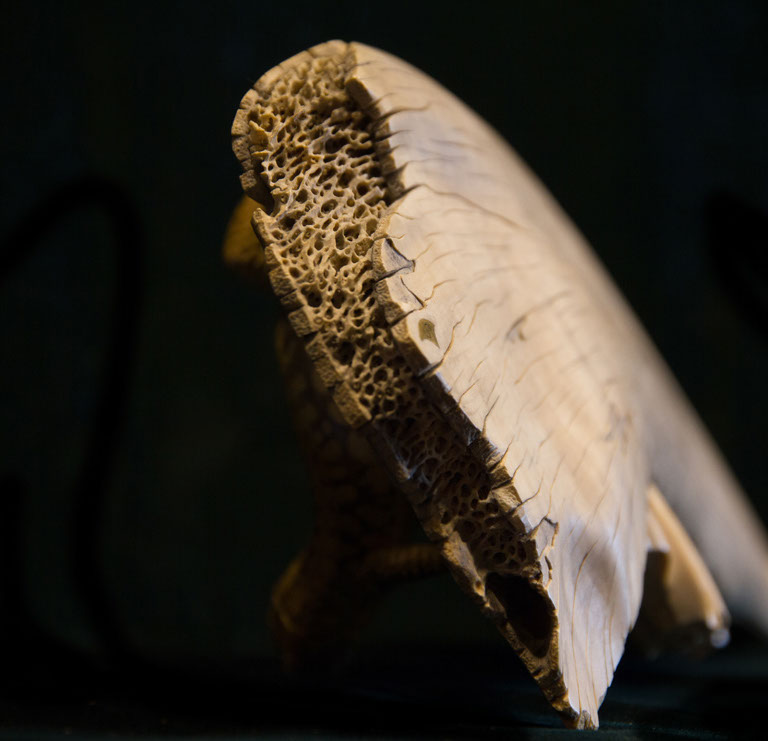 Eisvogel, Kingfisher, Watersplash, Hunting, Fish, Cornel, Schneider, Boxwood, Buchsbaum, jpeg, jpg, scuplture, Schnitzerei, Carving, okimono