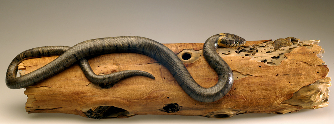 Natrix-Natrix, Ringelnatter, Grass snake, rindged, Cornel, Schneider, Boxwood, Buchsbaum,  jpeg, jpg, scuplture, Schnitzerei, Carving, okimono
