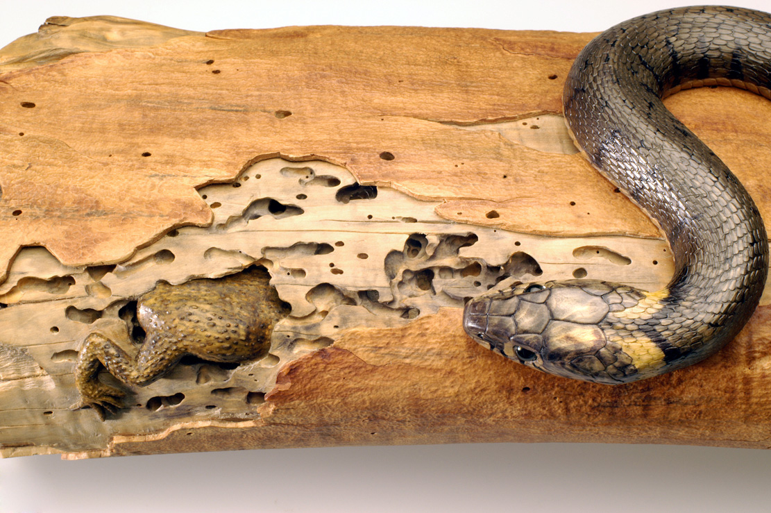 Natrix-Natrix, Ringelnatter, Grass snake, rindged, Cornel, Schneider, Boxwood, Buchsbaum,  jpeg, jpg, scuplture, Schnitzerei, Carving, okimono