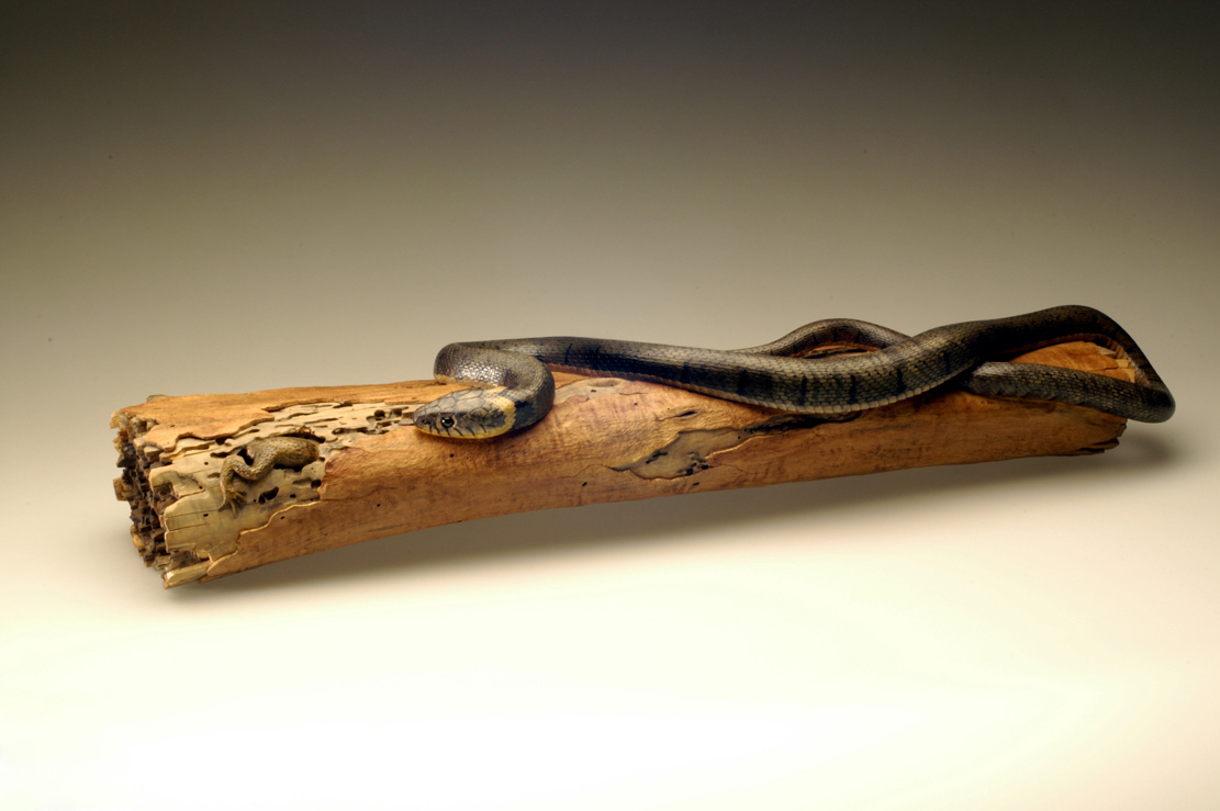 Natrix-Natrix, Ringelnatter, Grass snake, rindged, Cornel, Schneider, Boxwood, Buchsbaum,  jpeg, jpg, scuplture, Schnitzerei, Carving, okimono