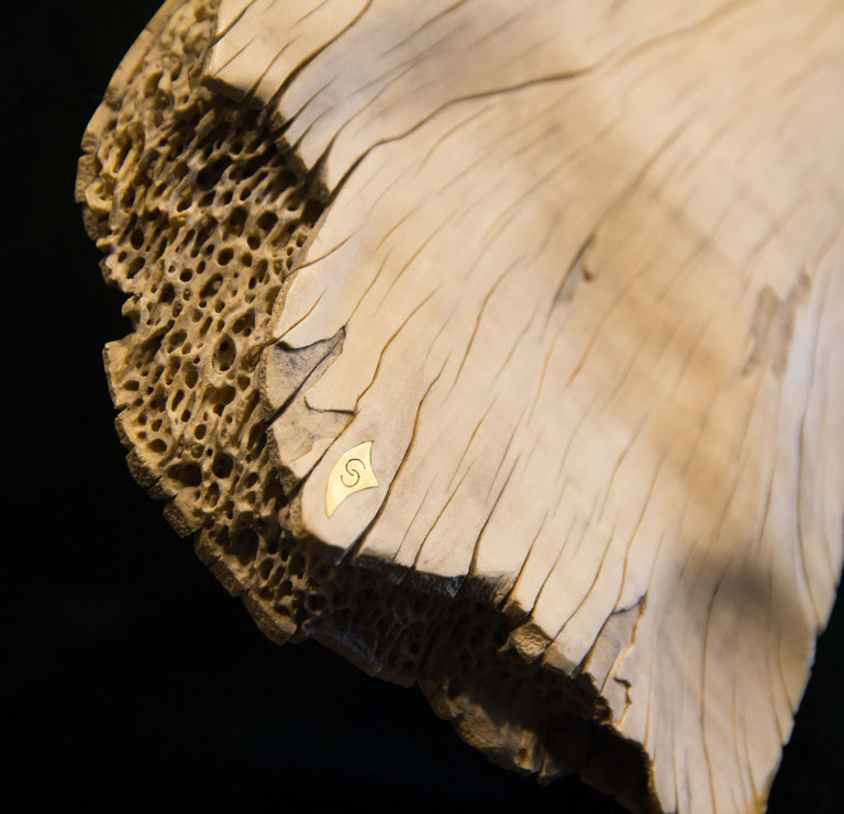 Eisvogel, Kingfisher, Watersplash, Hunting, Fish, Cornel, Schneider, Boxwood, Buchsbaum, jpeg, jpg, scuplture, Schnitzerei, Carving, okimono