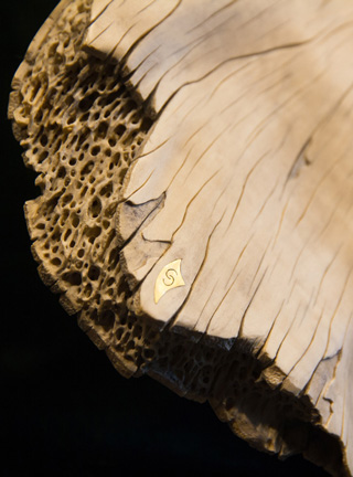 Snake, Schlange, Toad, Kröte, Cornel, Schneider, Boxwood, Buchsbaum, jpeg, jpg, scuplture, Schnitzerei, Carving, okimono