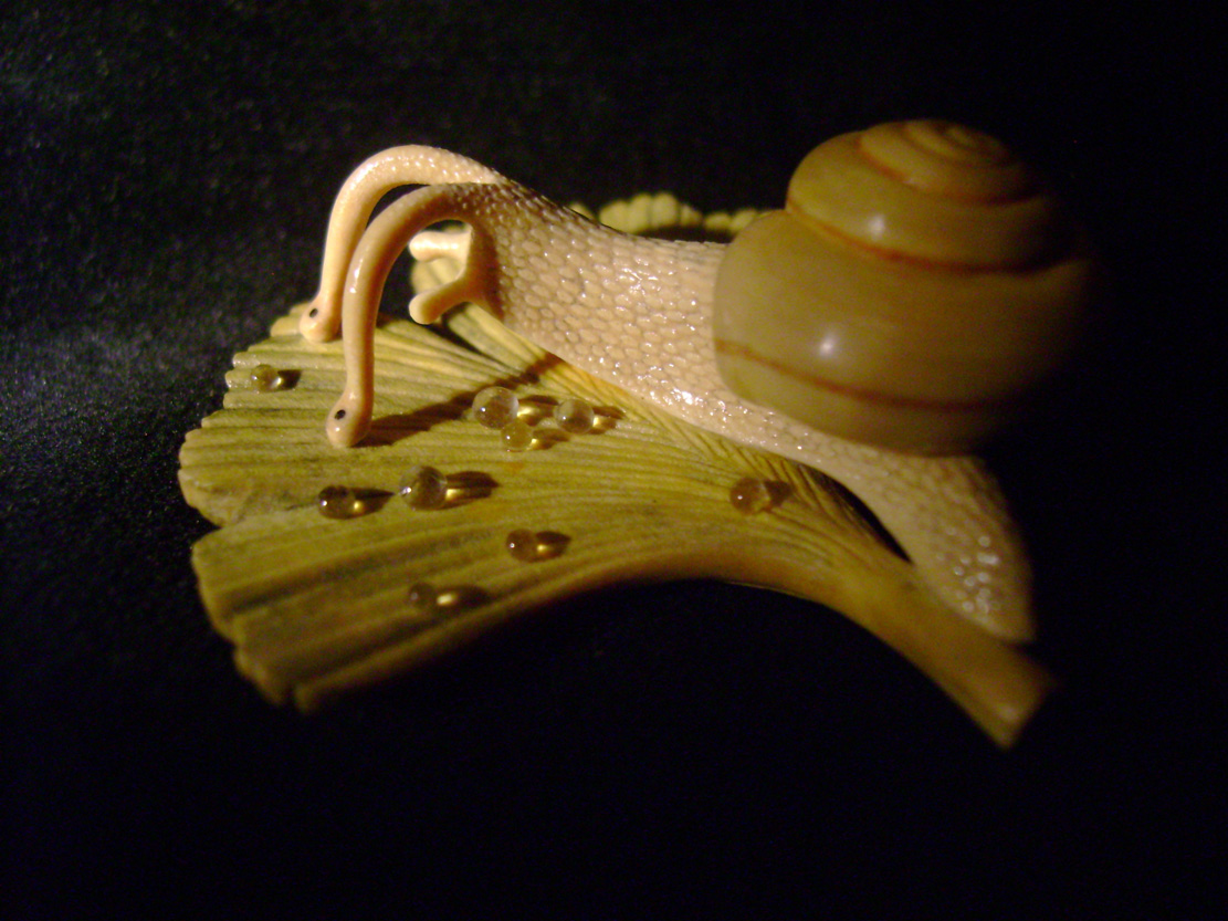 Snail on Gingkoleaf, schnecke, Ginkoblatt, Dewdrop, Cornel, Schneider, Boxwood, Buchsbaum,  jpeg, jpg, scuplture, Schnitzerei, Carving, netsuke 