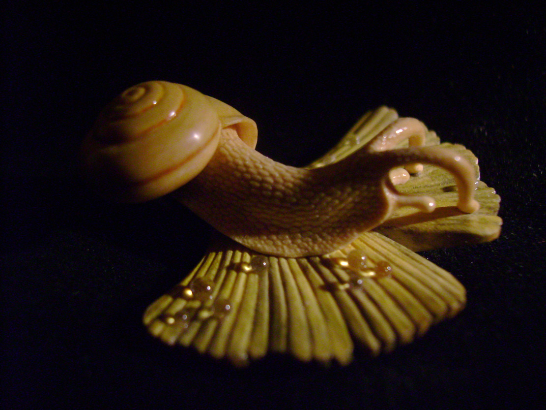 Snail on Gingkoleaf, schnecke, Ginkoblatt, Dewdrop, Cornel, Schneider, Boxwood, Buchsbaum,  jpeg, jpg, scuplture, Schnitzerei, Carving, netsuke 