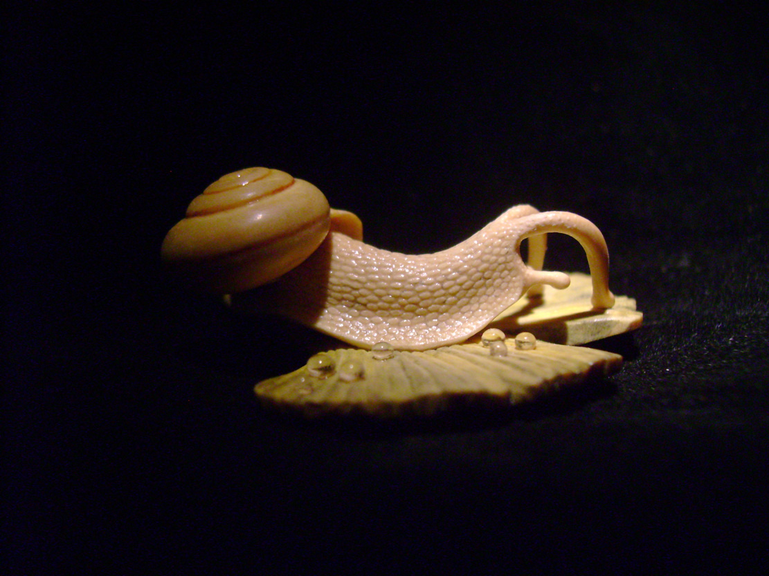 Snail on Gingkoleaf, schnecke, Ginkoblatt, Dewdrop, Cornel, Schneider, Boxwood, Buchsbaum,  jpeg, jpg, scuplture, Schnitzerei, Carving, netsuke 