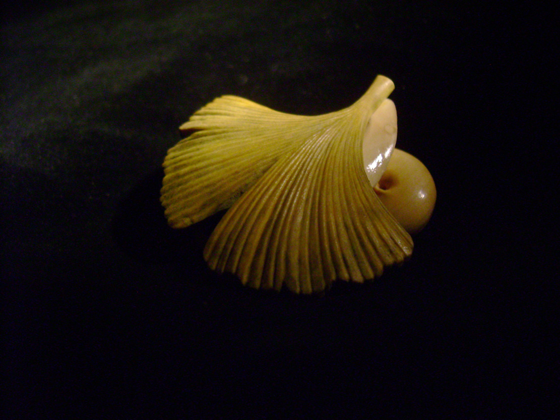 Snail on Gingkoleaf, schnecke, Ginkoblatt, Dewdrop, Cornel, Schneider, Boxwood, Buchsbaum,  jpeg, jpg, scuplture, Schnitzerei, Carving, netsuke 