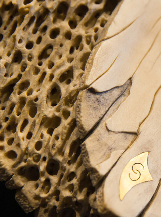 Snake, Schlange, Toad, Kröte, Cornel, Schneider, Boxwood, Buchsbaum, jpeg, jpg, scuplture, Schnitzerei, Carving, okimono