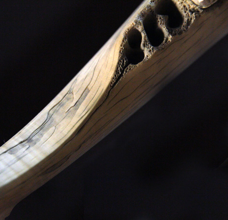 toad on lotusleaf, Kröte, Cornel, Schneider, Boxwood, Buchsbaum, Acrylglas, Ivory, jpeg, jpg, scuplture, Schnitzerei, Carving, okimono