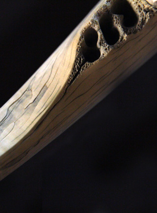 Snake, Schlange, Toad, Kröte, Cornel, Schneider, Boxwood, Buchsbaum, jpeg, jpg, scuplture, Schnitzerei, Carving, okimono