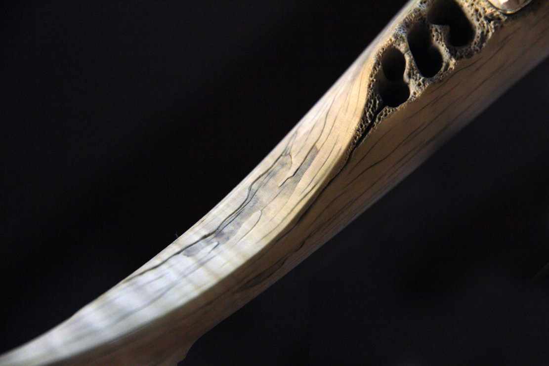 toad on lotusleaf, Kröte, Cornel, Schneider, Boxwood, Buchsbaum, Acrylglas, Ivory, jpeg, jpg, scuplture, Schnitzerei, Carving, okimono