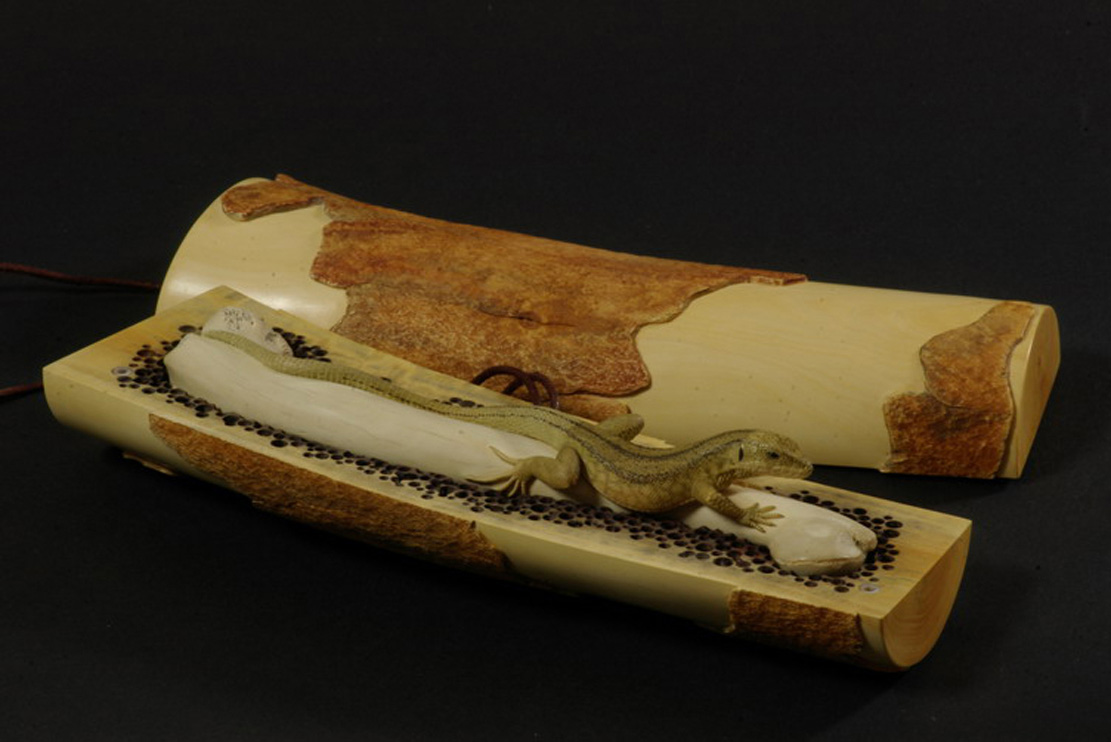 LIZARD ON BONE, Eidechse, Knochen, Cornel, Schneider, Boxwood, Buchsbaum,  jpeg, jpg, scuplture, Schnitzerei, Carving, sashi, netsuke, 