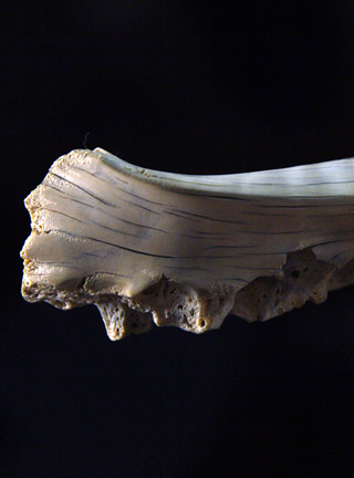 Snake, Schlange, Toad, Kröte, Cornel, Schneider, Boxwood, Buchsbaum, jpeg, jpg, scuplture, Schnitzerei, Carving, okimono